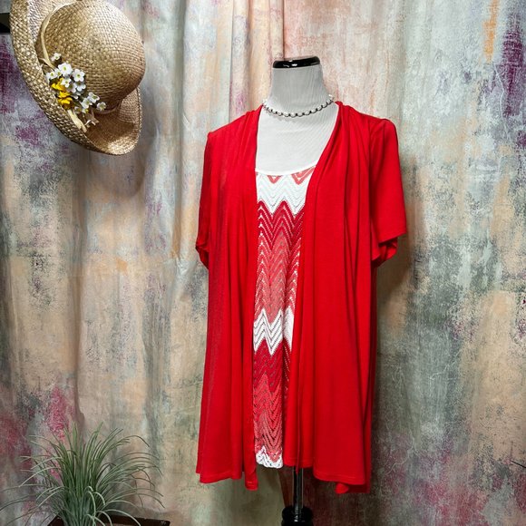 📌Lavish 2 in 1 Plus Size Rayon Top - Picture 1 of 13
